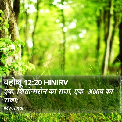 यहोशू 12:20 HINIRV Bible Verse Image