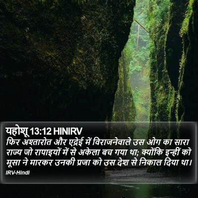 यहोशू 13:12 HINIRV Bible Verse Image