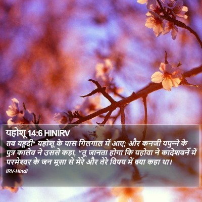 यहोशू 14:6 HINIRV Bible Verse Image