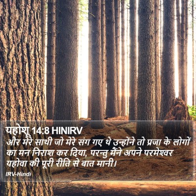 यहोशू 14:8 HINIRV Bible Verse Image