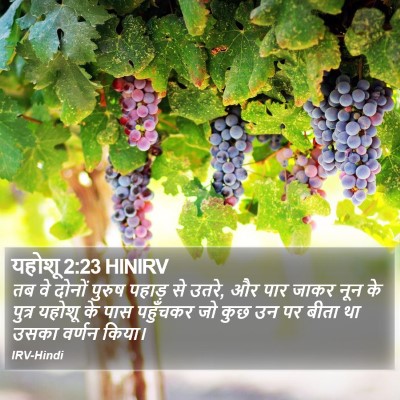 यहोशू 2:23 HINIRV Bible Verse Image