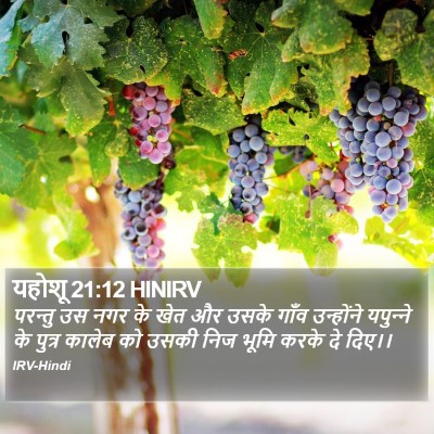यहोशू 21:12 HINIRV Bible Verse Image