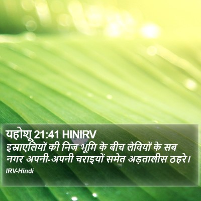 यहोशू 21:41 HINIRV Bible Verse Image