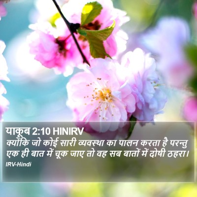 याकूब 2:10 HINIRV Bible Verse Image