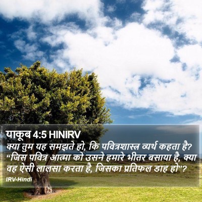 याकूब 4:5 HINIRV Bible Verse Image