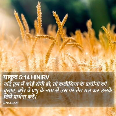 याकूब 5:14 HINIRV Bible Verse Image