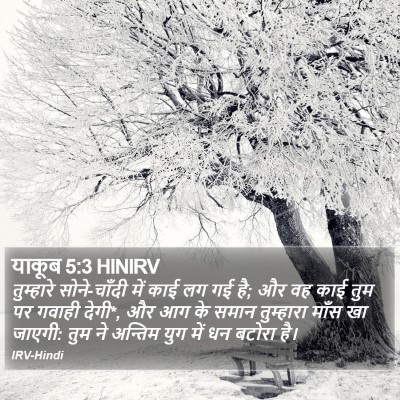 याकूब 5:3 HINIRV Bible Verse Image