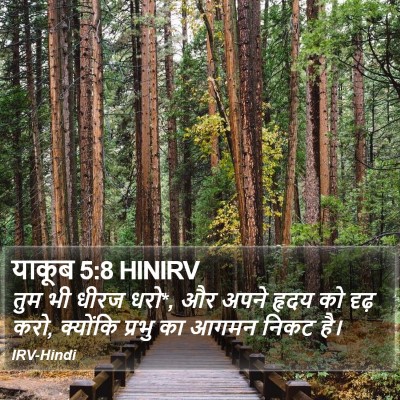 याकूब 5:8 HINIRV Bible Verse Image