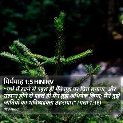 यिर्मयाह 1:5 HINIRV Bible Verse Image
