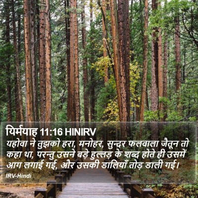 यिर्मयाह 11:16 HINIRV Bible Verse Image