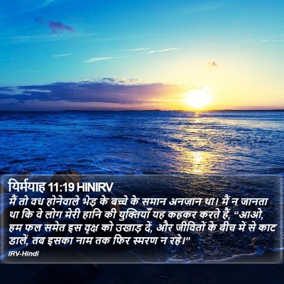 यिर्मयाह 11:19 HINIRV Bible Verse Image