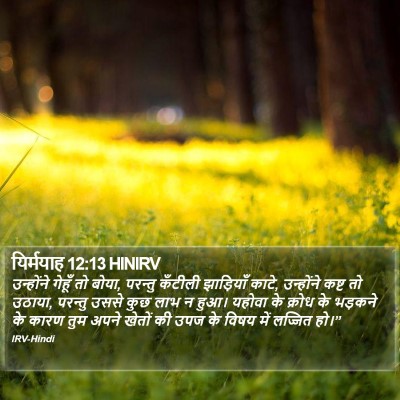 यिर्मयाह 12:13 HINIRV Bible Verse Image