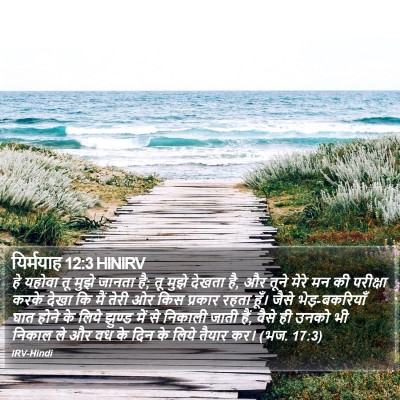 यिर्मयाह 12:3 HINIRV Bible Verse Image