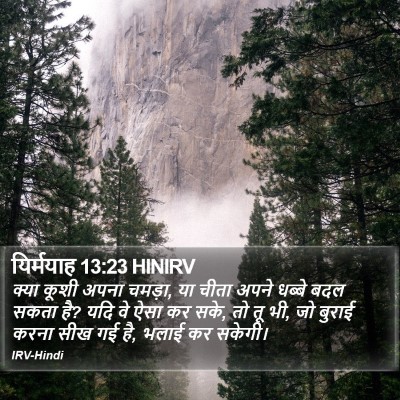 यिर्मयाह 13:23 HINIRV Bible Verse Image