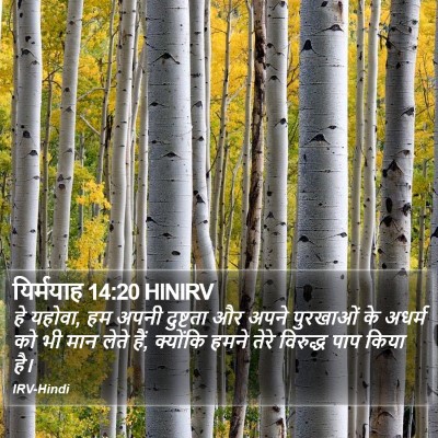 यिर्मयाह 14:20 HINIRV Bible Verse Image