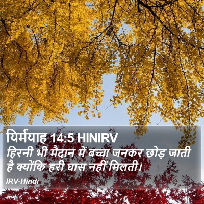 यिर्मयाह 14:5 HINIRV Bible Verse Image