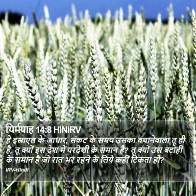 यिर्मयाह 14:8 HINIRV Bible Verse Image
