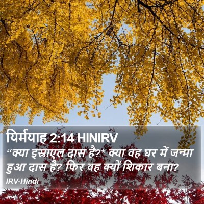 यिर्मयाह 2:14 HINIRV Bible Verse Image