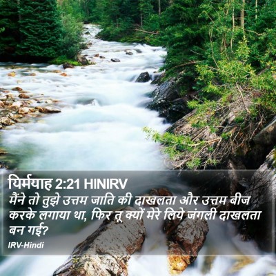 यिर्मयाह 2:21 HINIRV Bible Verse Image