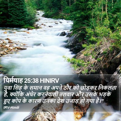 यिर्मयाह 25:38 HINIRV Bible Verse Image