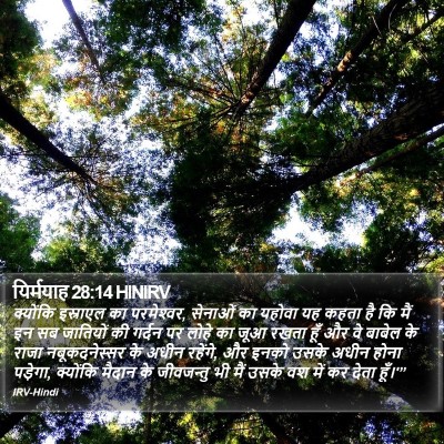 यिर्मयाह 28:14 HINIRV Bible Verse Image