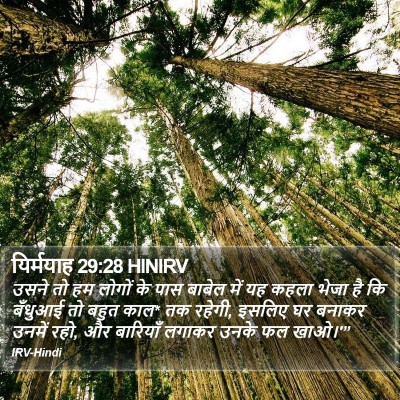 यिर्मयाह 29:28 HINIRV Bible Verse Image