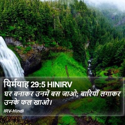 यिर्मयाह 29:5 HINIRV Bible Verse Image