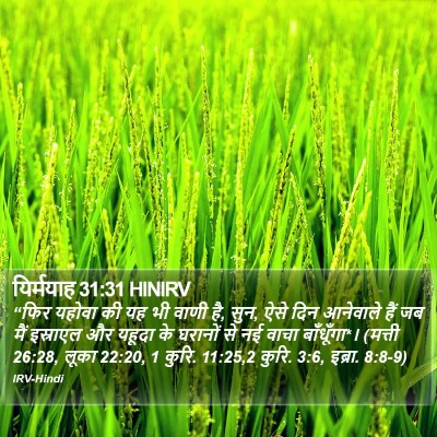 यिर्मयाह 31:31 HINIRV Bible Verse Image