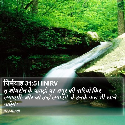 यिर्मयाह 31:5 HINIRV Bible Verse Image