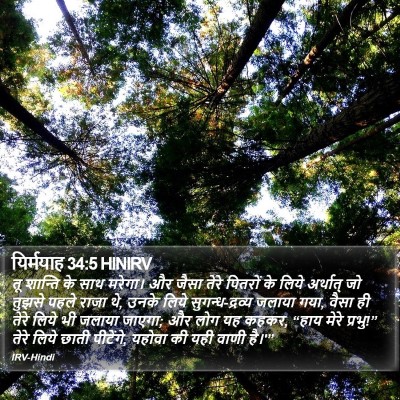 यिर्मयाह 34:5 HINIRV Bible Verse Image