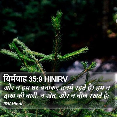 यिर्मयाह 35:9 HINIRV Bible Verse Image