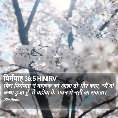 यिर्मयाह 36:5 HINIRV Bible Verse Image