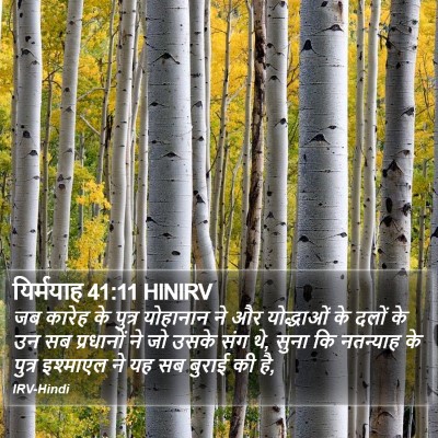 यिर्मयाह 41:11 HINIRV Bible Verse Image