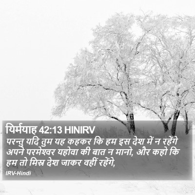 यिर्मयाह 42:13 HINIRV Bible Verse Image