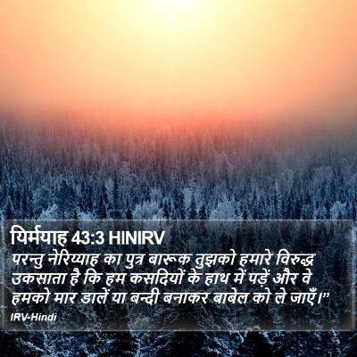 यिर्मयाह 43:3 HINIRV Bible Verse Image