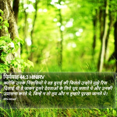 यिर्मयाह 44:3 HINIRV Bible Verse Image