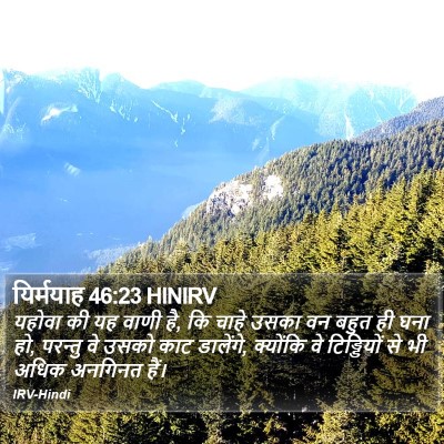 यिर्मयाह 46:23 HINIRV Bible Verse Image