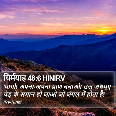 यिर्मयाह 48:6 HINIRV Bible Verse Image