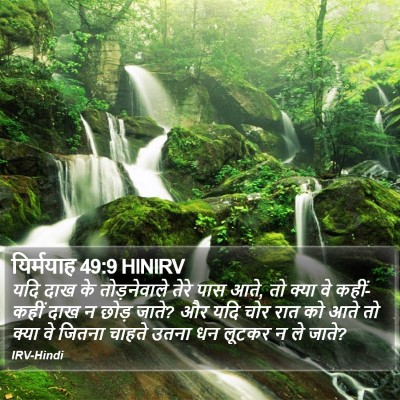 यिर्मयाह 49:9 HINIRV Bible Verse Image