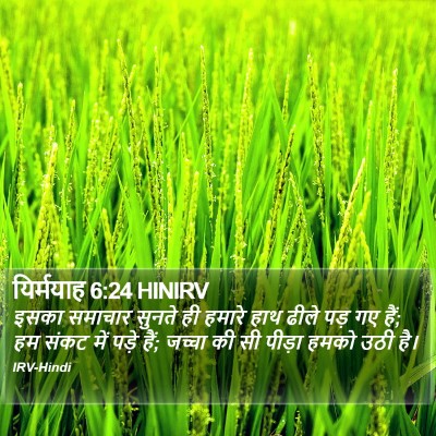 यिर्मयाह 6:24 HINIRV Bible Verse Image