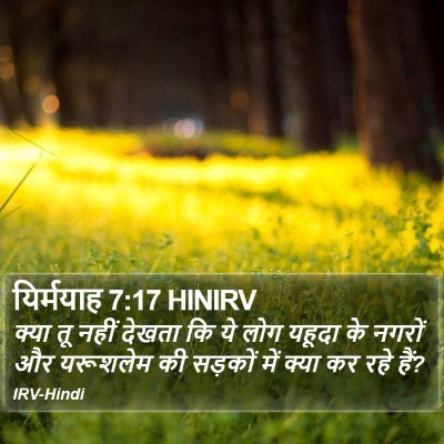यिर्मयाह 7:17 HINIRV Bible Verse Image