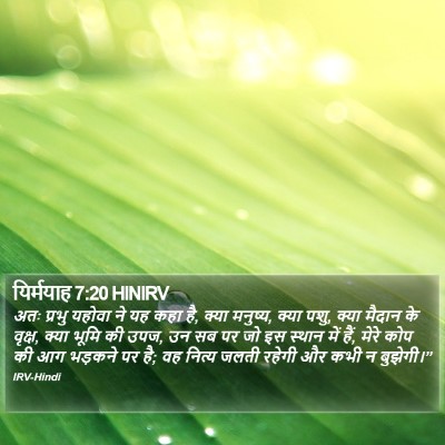 यिर्मयाह 7:20 HINIRV Bible Verse Image
