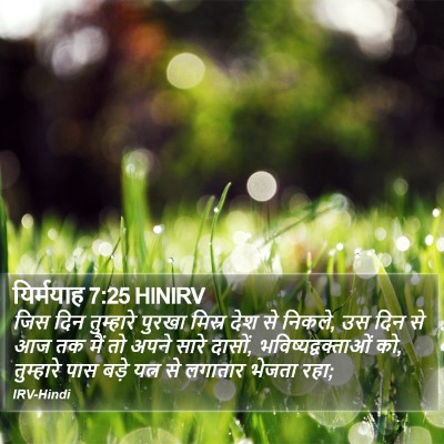 यिर्मयाह 7:25 HINIRV Bible Verse Image