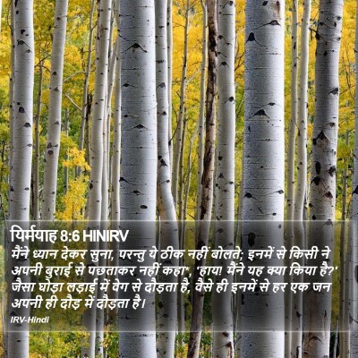 यिर्मयाह 8:6 HINIRV Bible Verse Image