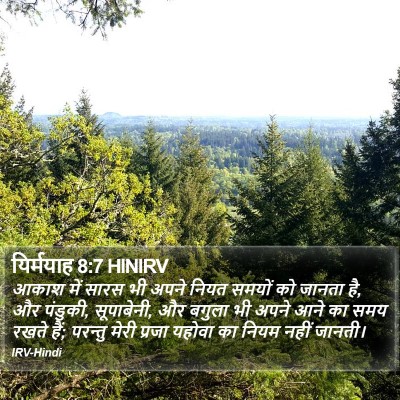 यिर्मयाह 8:7 HINIRV Bible Verse Image