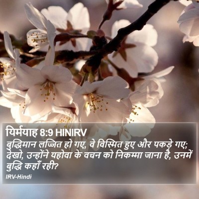 यिर्मयाह 8:9 HINIRV Bible Verse Image