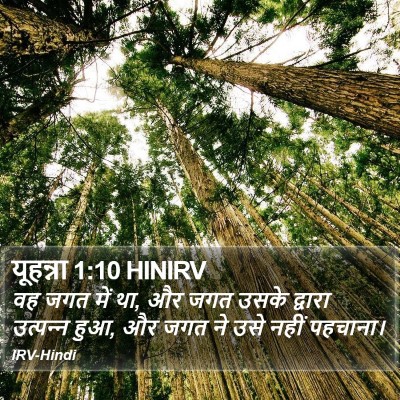यूहन्ना 1:10 HINIRV Bible Verse Image
