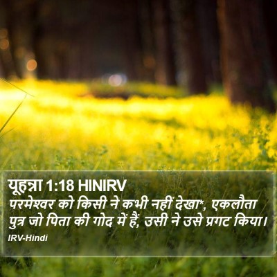 यूहन्ना 1:18 HINIRV Bible Verse Image