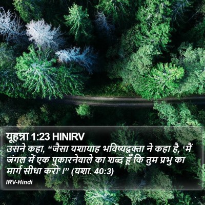 यूहन्ना 1:23 HINIRV Bible Verse Image