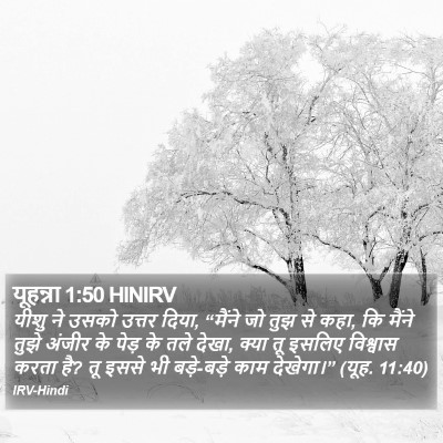 यूहन्ना 1:50 HINIRV Bible Verse Image